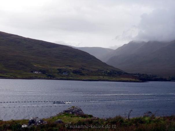 P1180747-killary harbour